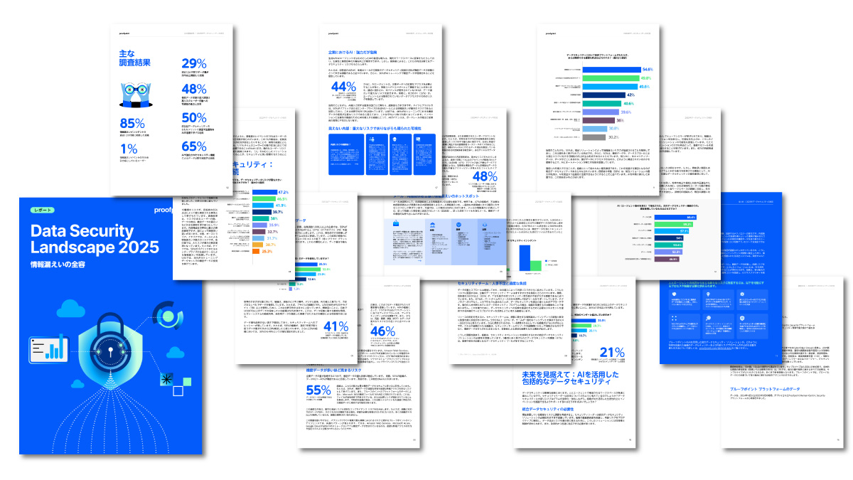 Data Security Landscape