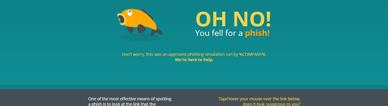 Ansicht einer Internetseite, auf die Nutzer weitergeleitet werden, nachdem sie auf eine simulierte Phishing-Attacke hereingefallen sind.